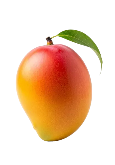 Imagen PNG para descargar